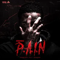 P.A.I.N (Probably All I Needed)