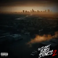 GotDamnIt Baby Stones 2