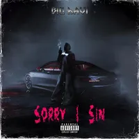 Sorry I Sin