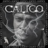 Calico