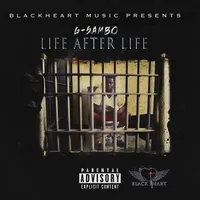 Life After Life