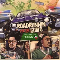 Roadrunnin For The Gusto