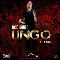 Lingo