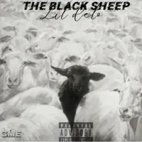 The Black Sheep