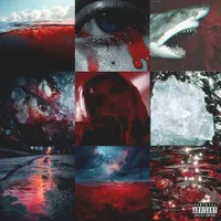 Blood In The Water 2
