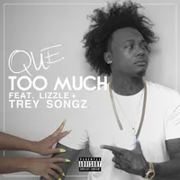 Too Much (Remix)