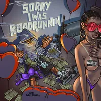 Sorry I Was Roadrunnin