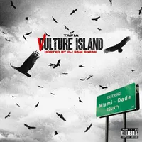Vulture Culture Island