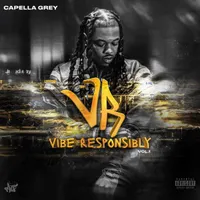 Vibe Responsibly Vol. 1