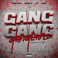 Gang Gang Gangland