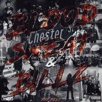Blood, Sweat & Billz