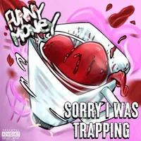 Sorry I Was Trapping