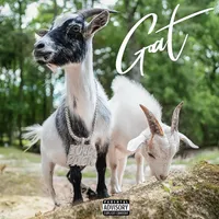Goat