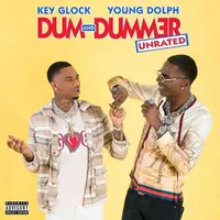 Dum & Dummer