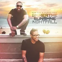 Summertime Sunshine Nightfall