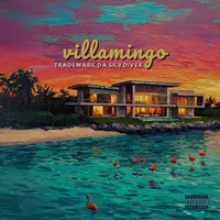 Villamingo