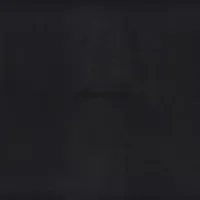 Dark Times