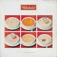 A Fly In The Soup