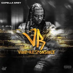 Vibe Responsibly Vol. 1