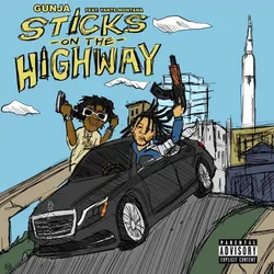 Sticks On The Highway