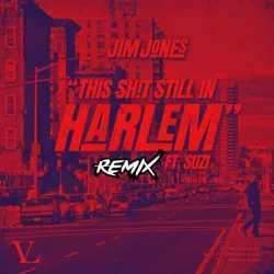 This Shit Still In Harlem (Remix)