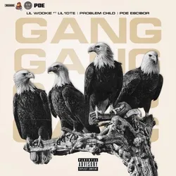 Gang Shit