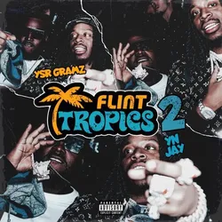 Flint Tropics 2