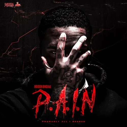 P.A.I.N (Probably All I Needed)