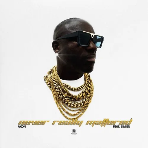 Never Really Mattered 