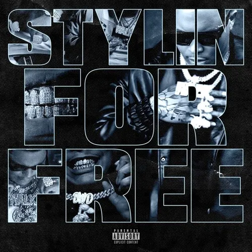 Stylin For Free