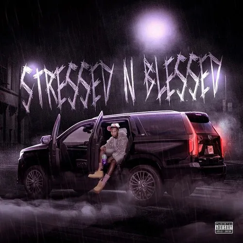 Stressed N Blessed