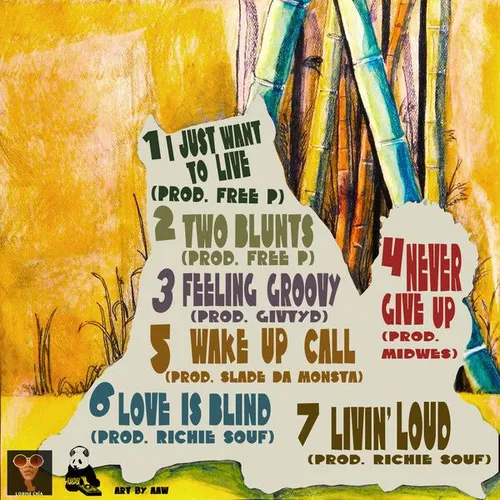 Introduction To Sweet Noise