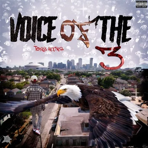 Voice Of The 3