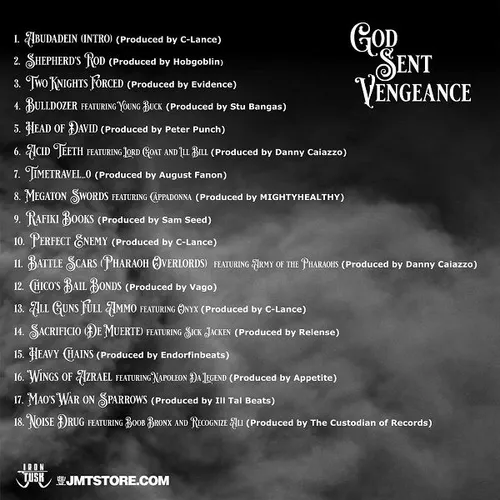 God Sent Vengeance