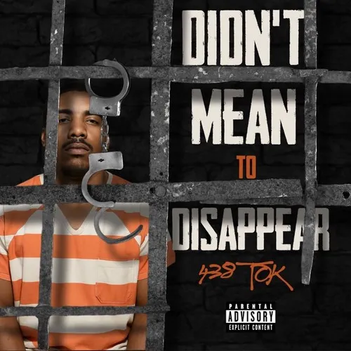 Didn't Mean To Disappear
