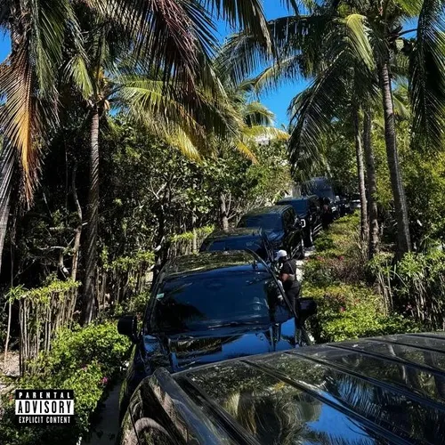 Palm Trees