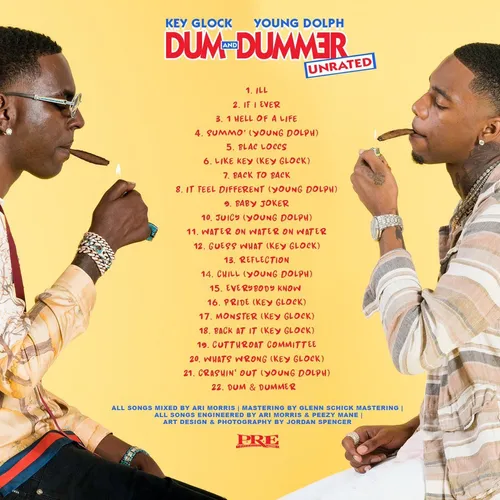 Dum & Dummer