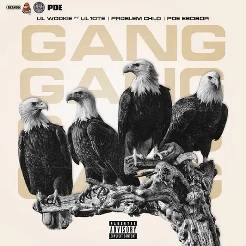 Gang Shit