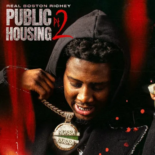 Public Housing 2