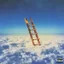 Highest In The Room
