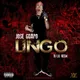 Lingo