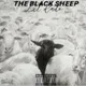 The Black Sheep