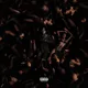 Pretty Girlz Run The World