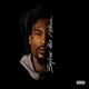 Before The Album