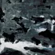 A Murder Of Crows