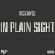 In Plain Sight