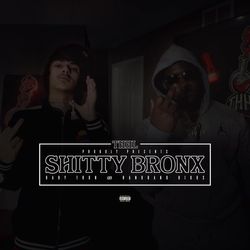 Shitty Bronx