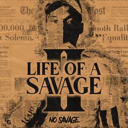 Life Of A Savage 2